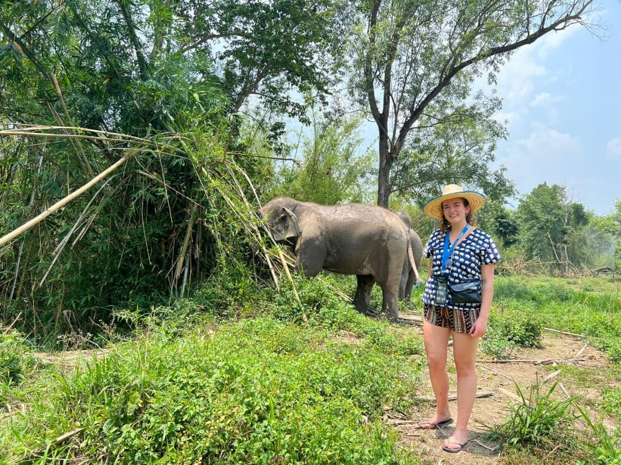 A traveller standing next to an elephant in the jungle