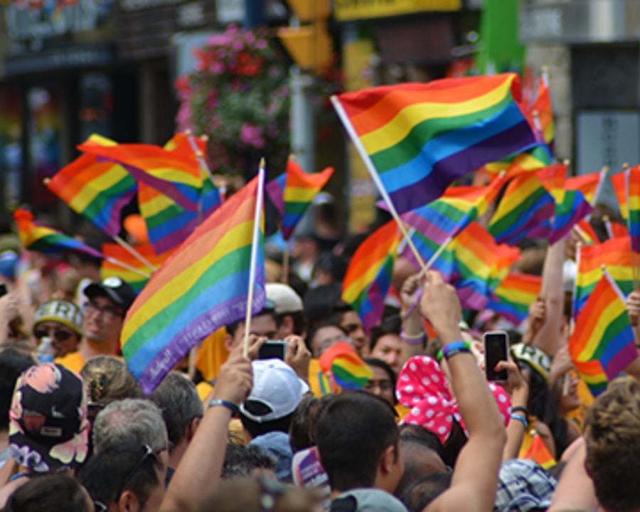 People with rainbow flags at Sydney Pride
