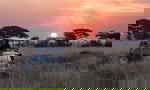 Man riding in grey car at sunset through the Serengeti