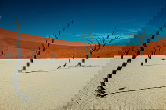Namib Desert in Namibia