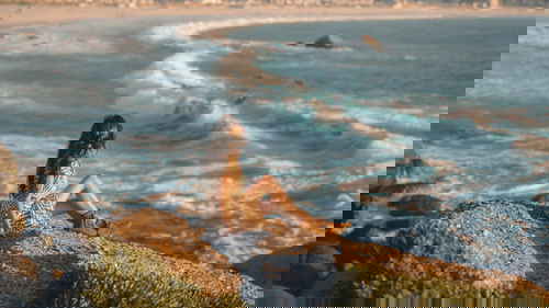 Person looking out to the sea in Cape Town, South Africa