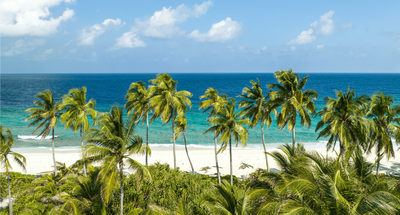 View of beach, palm trees and blue ocean in the Maldives, Asia